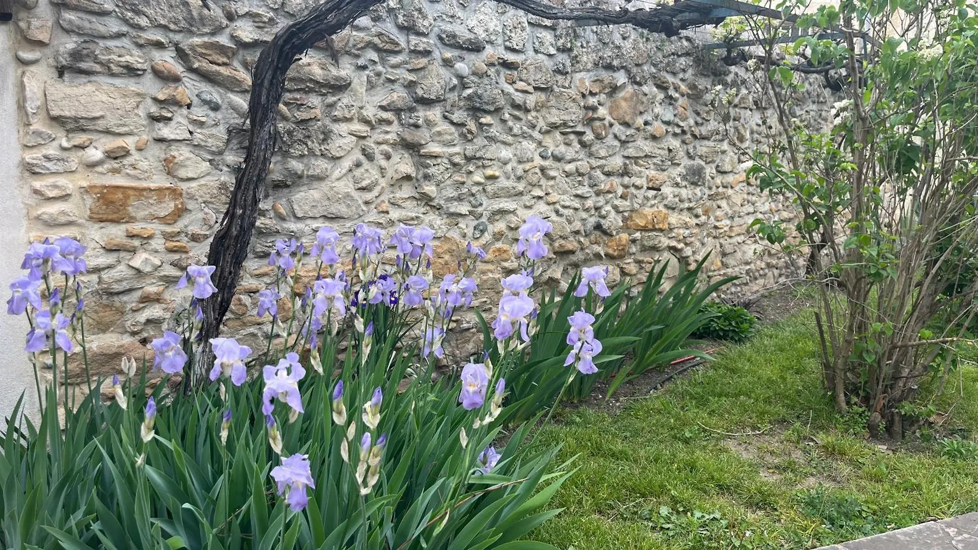 Maison En Provence Lapalud France